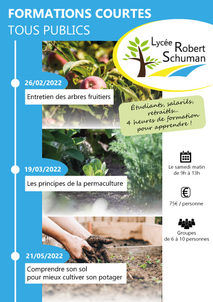 formations courtes