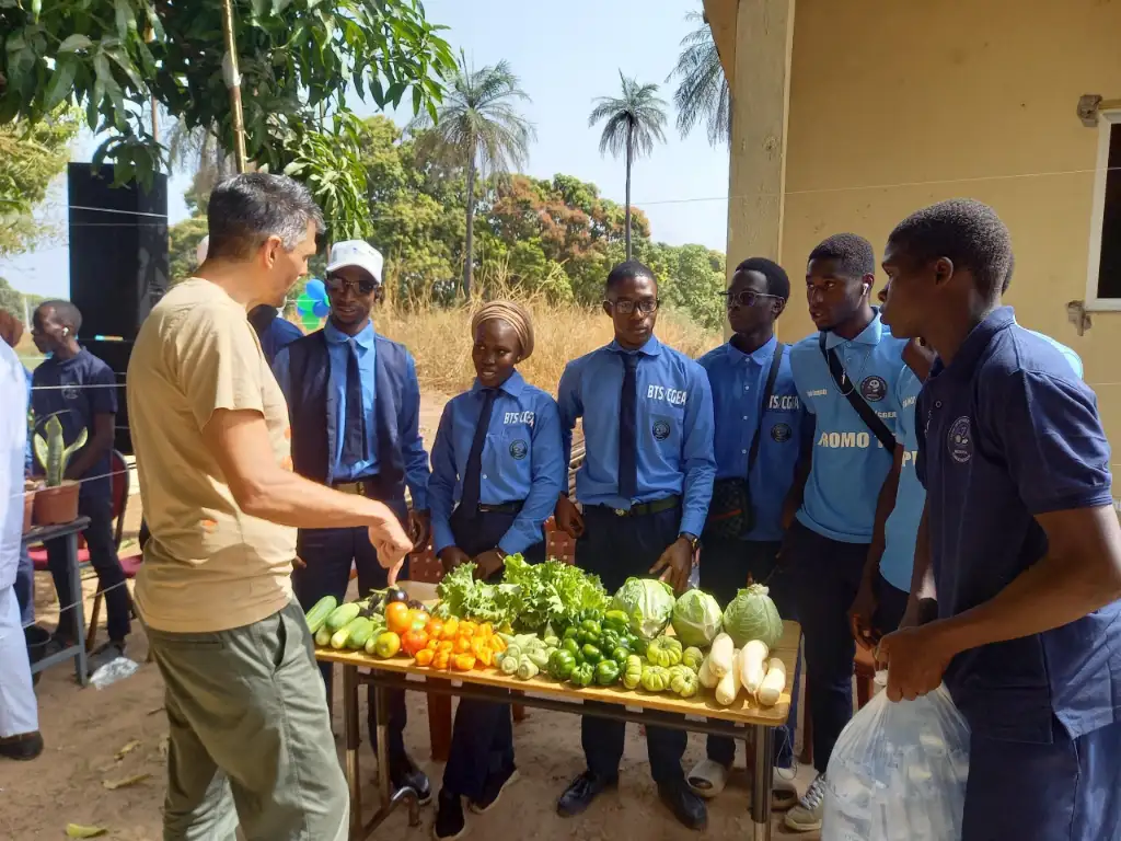 Sénégal : vente directe Sénégal : vente directe