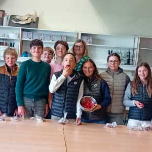 Collège Collège