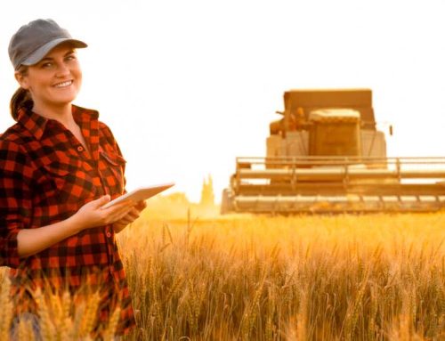Métiers de l’agroéquipement : quelles formations et quels débouchés ?
